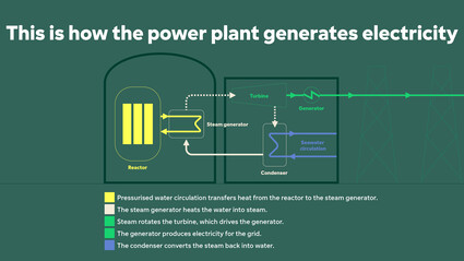 This is how the Loviisa power plant generates electricity