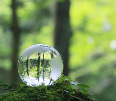 Glass globe green