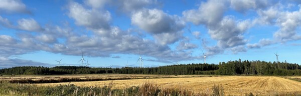 Kalax tuulipuisto 2022