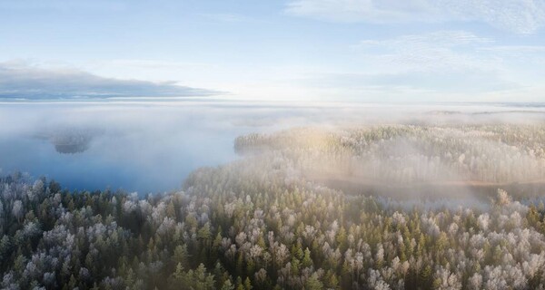 Foggy lake landscape